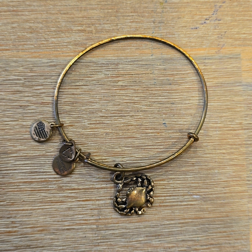 Alex and Ani Crab Cancer Bracelet